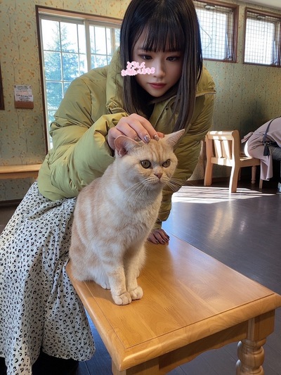 りいぬさんの写真